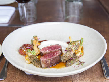 10 restaurants not to miss in Mexico City: Maximo Bistrot Local
