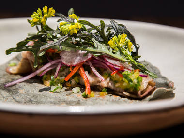 10 restaurants not to miss in Mexico City: pujol