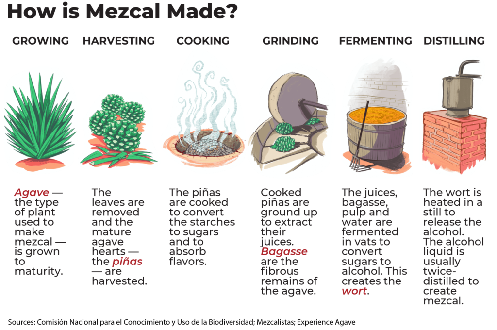 origin of mezcal