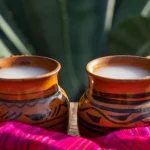 Pulque and mezcal festival