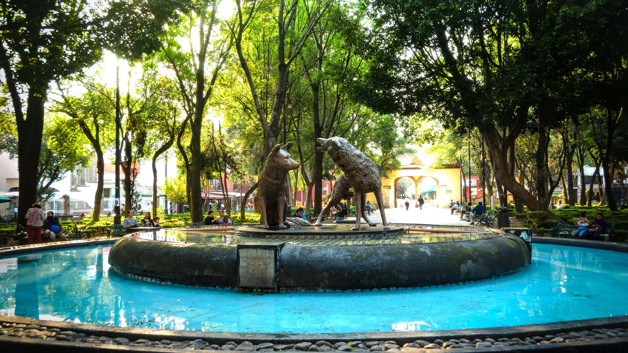 coyoacan