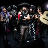 Metalachi