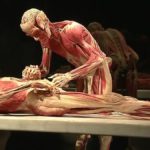 Our Body in Mexico City
