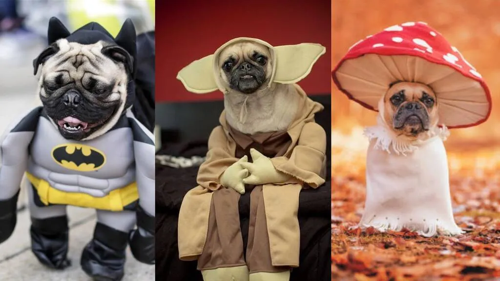 Pugween 2024