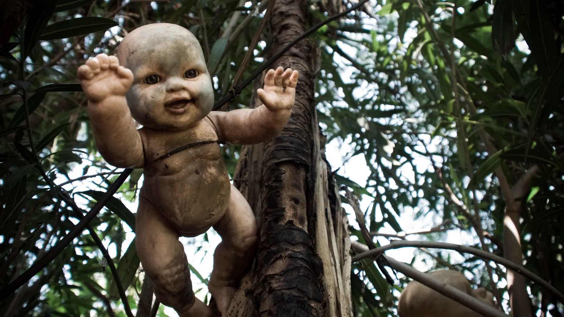 island of the dolls